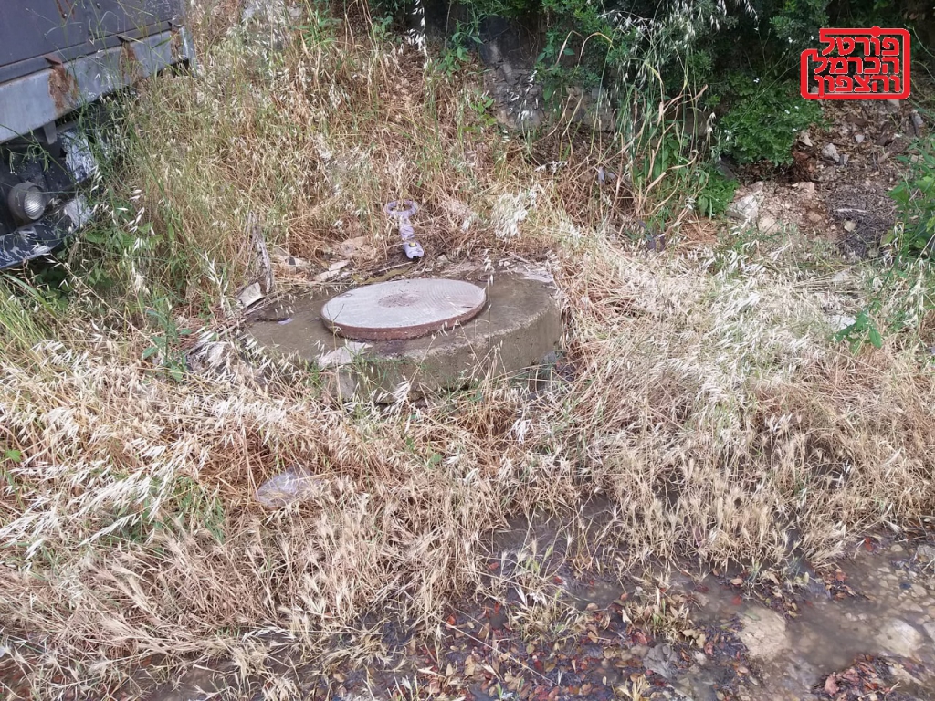 פורטל הכרמל