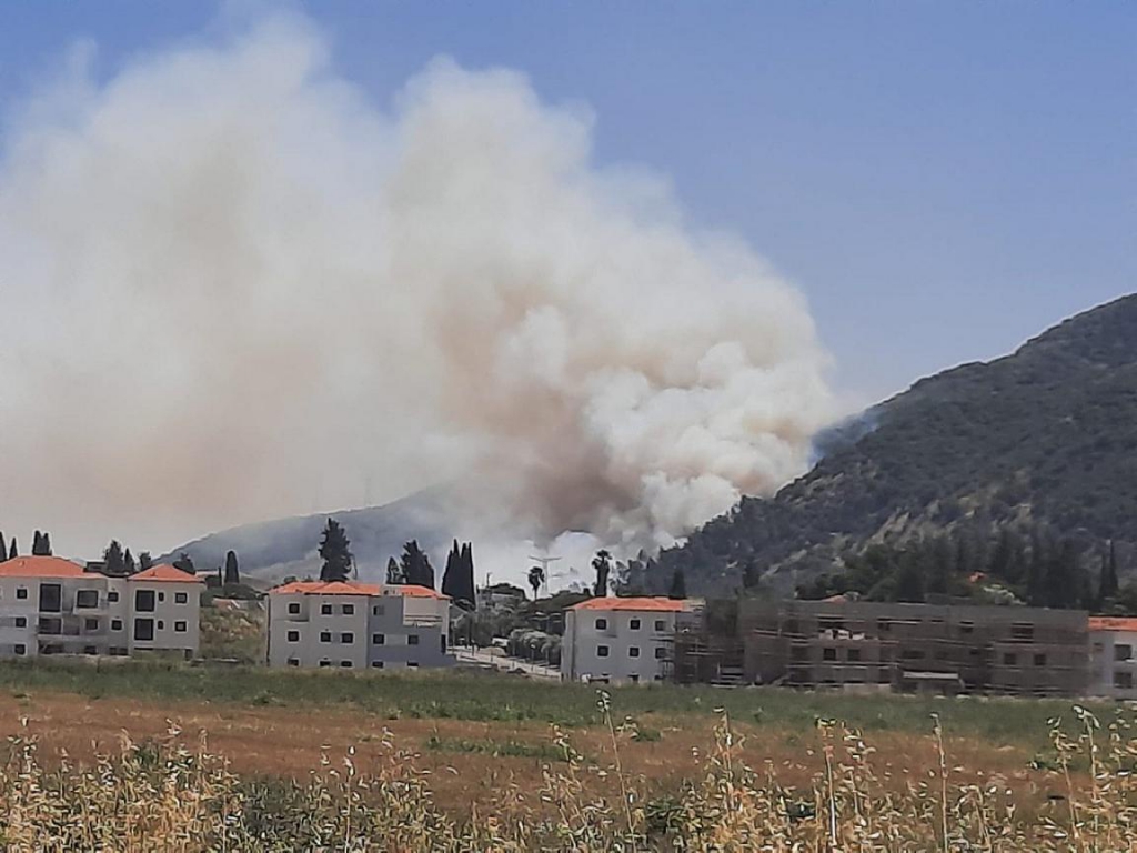 פורטל הכרמל