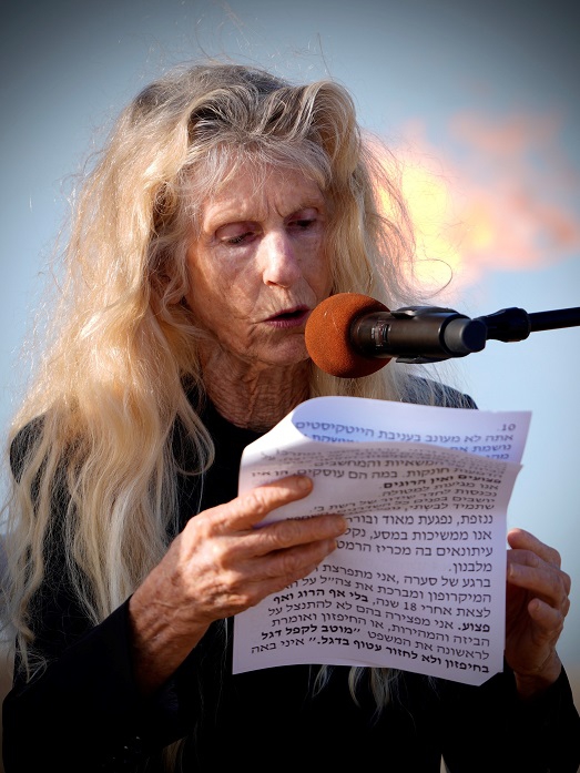 פורטל הכרמל