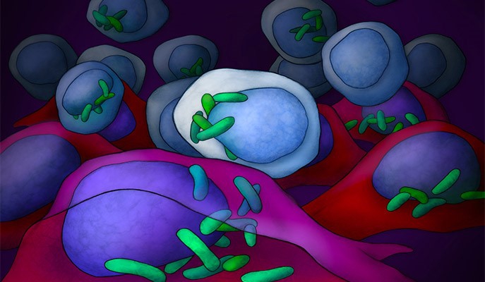 למה חיידקים חיים בתוך גידולים סרטניים?
