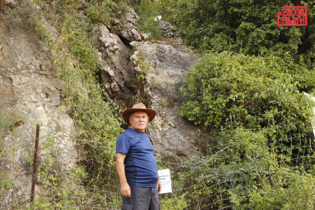 פורטל הכרמל