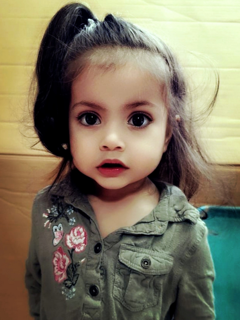 פורטל הכרמל