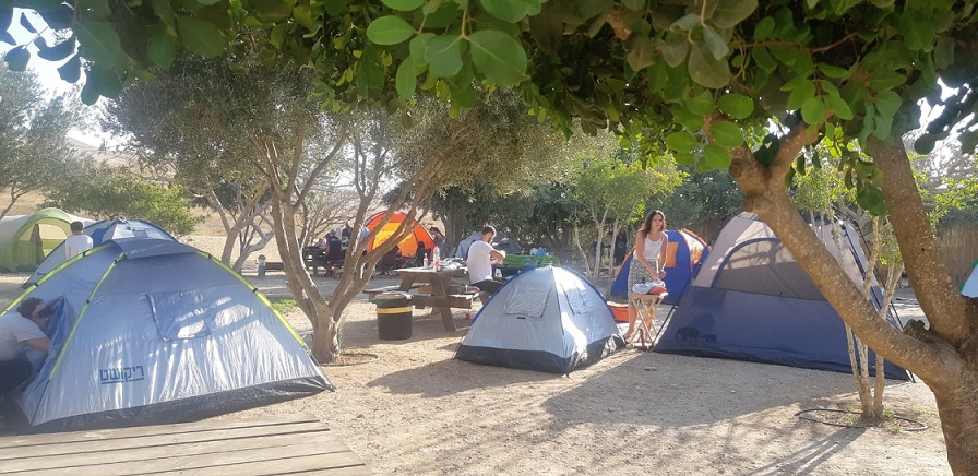 פורטל הכרמל