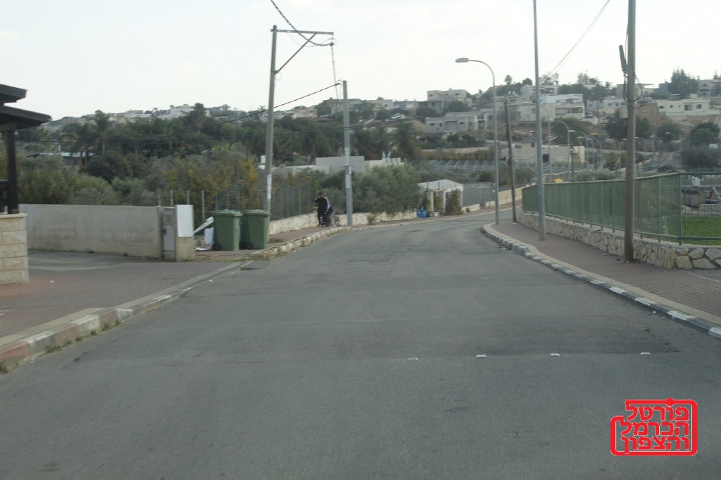 פורטל הכרמל