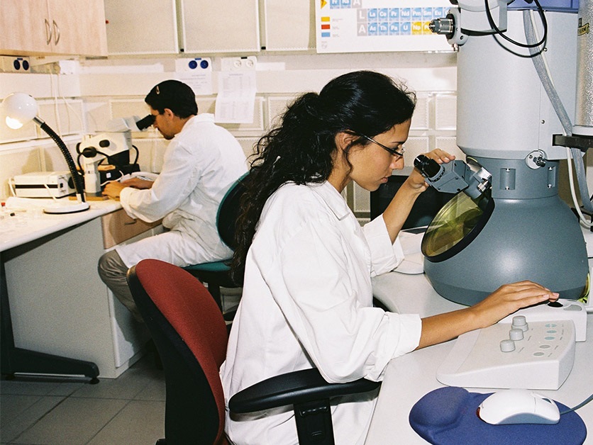 מכון ויצמן "תוכנית סיוע לחוקרים ישראלים צעירים"