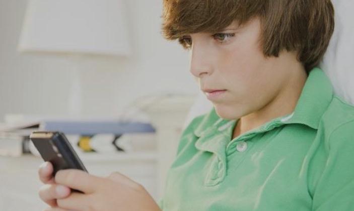 פורטל הכרמל