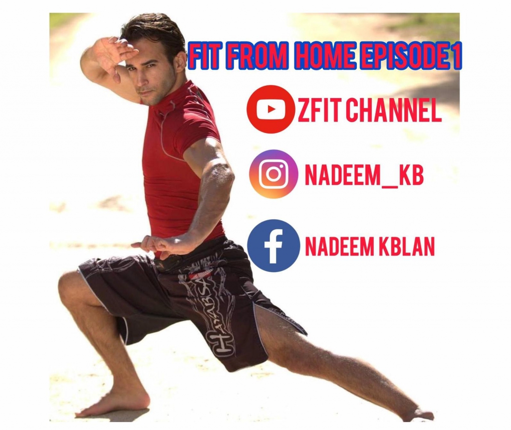 פורטל הכרמל