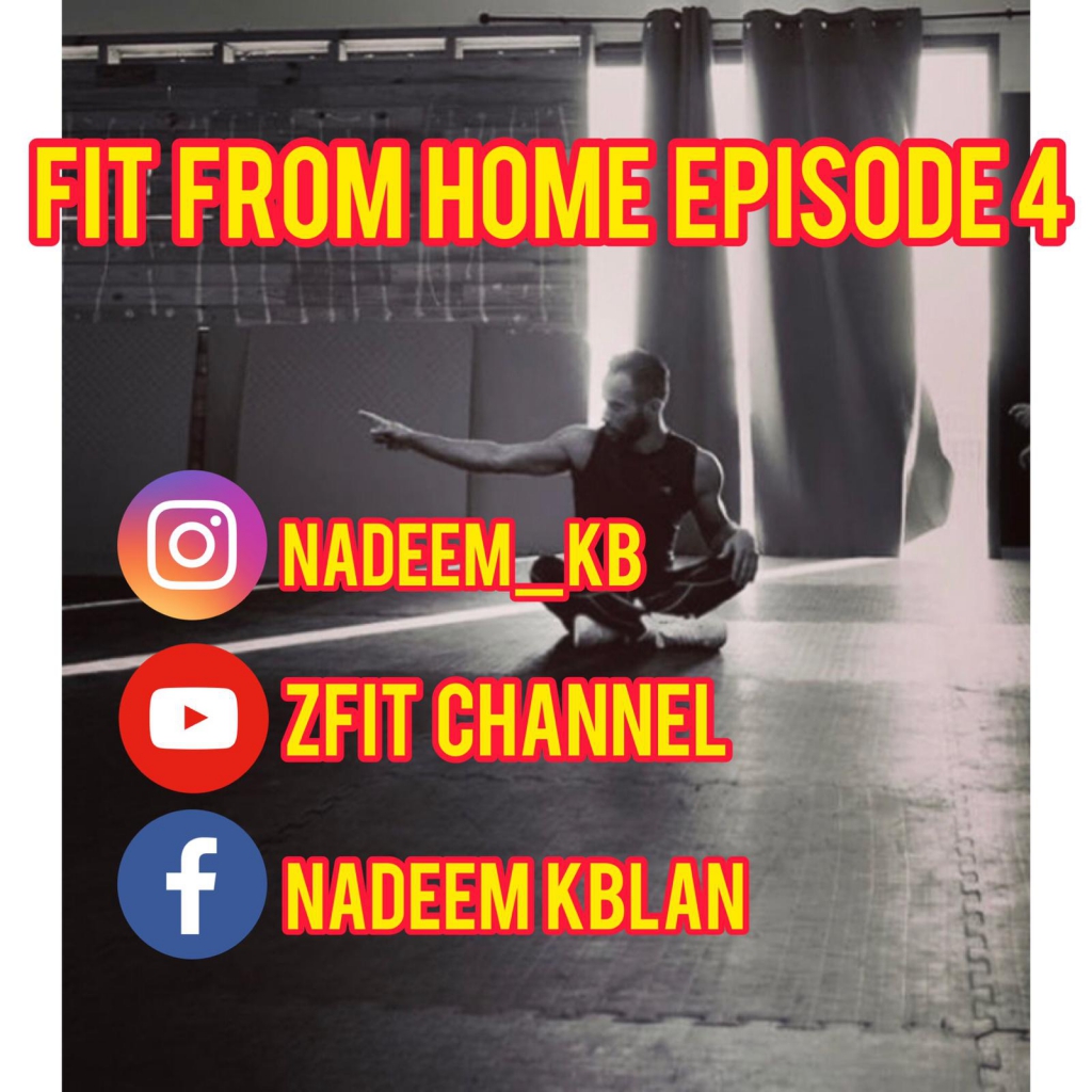 פורטל הכרמל