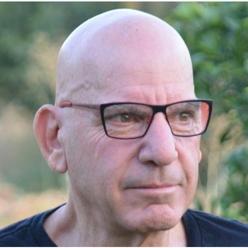 פורטל הכרמל