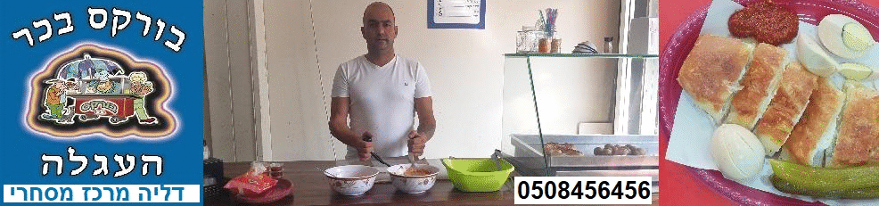 פורטל הכרמל