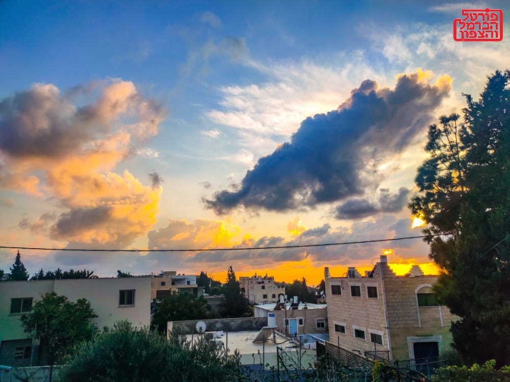 פורטל הכרמל