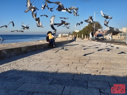 לקויים בניהול ואבטחת מאגרי מידע במשרד הביטחון