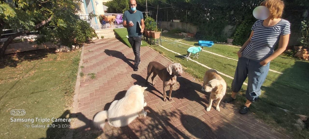 פורטל הכרמל