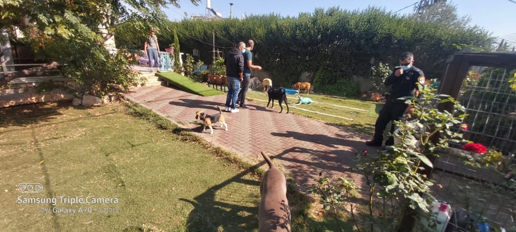 פורטל הכרמל