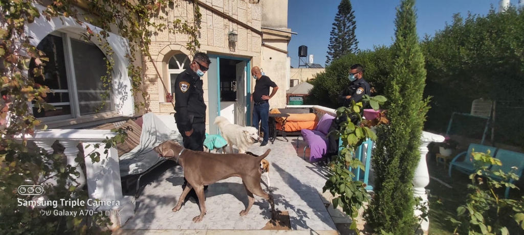 פורטל הכרמל