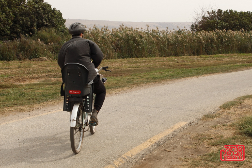 האם נשים מנהיגות מתמודדות טוב יותר עם מגפת קורונה?