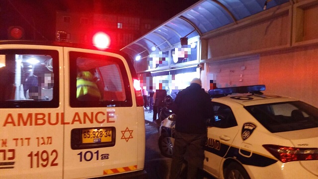 פורטל הכרמל