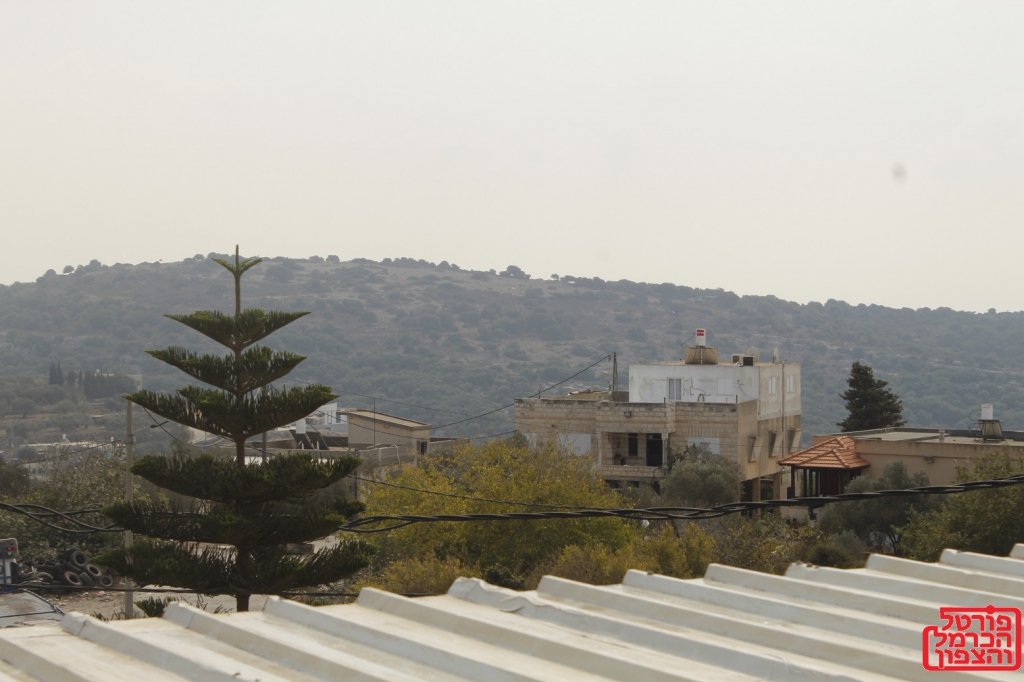 פורטל הכרמל