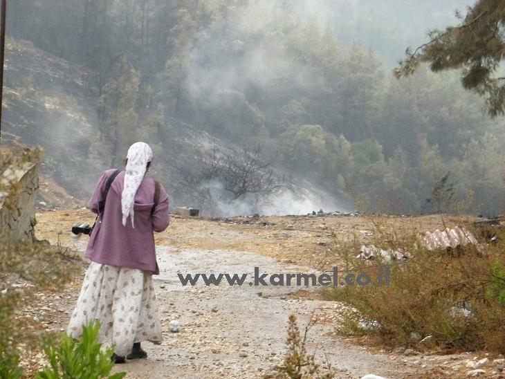 פורטל הכרמל