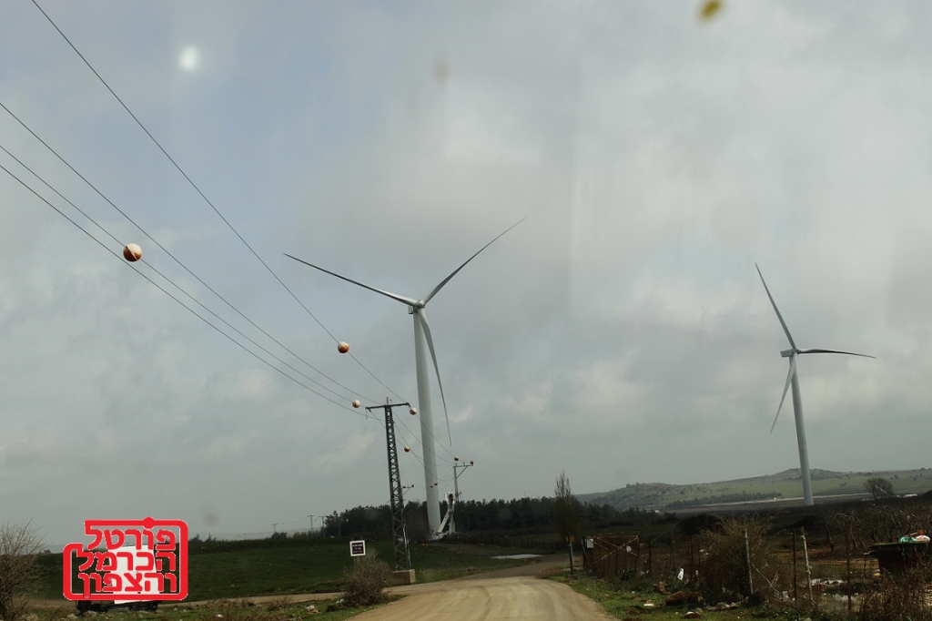 פורטל הכרמל