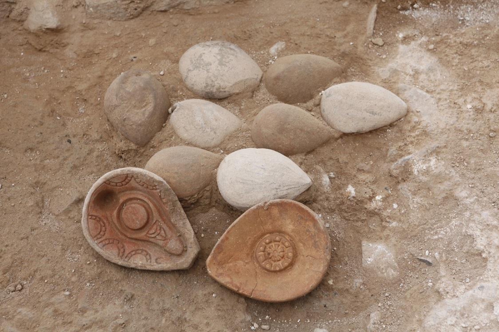 פורטל הכרמל