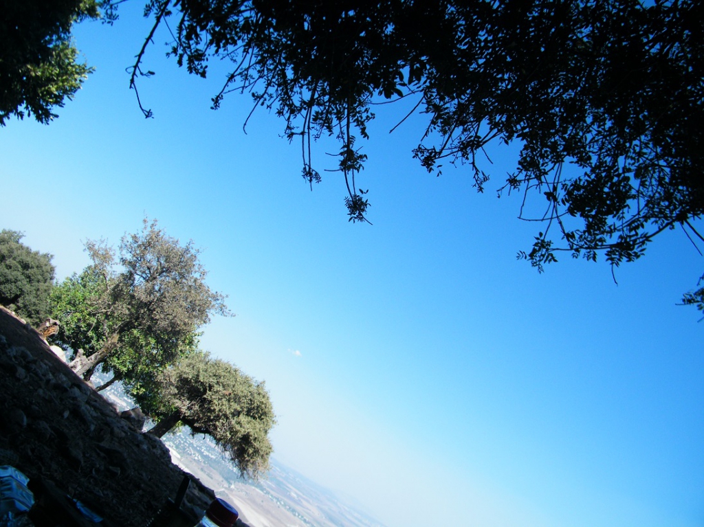 "ولئن سألتهم من خلق السموات والأرض .. ليقولن الله"