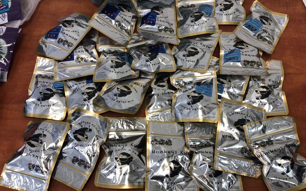 פורטל הכרמל