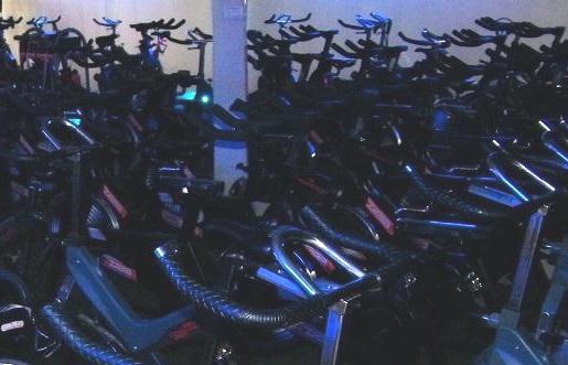 פורטל הכרמל