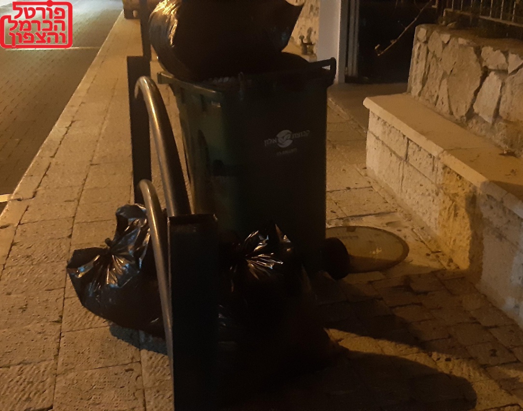 פורטל הכרמל