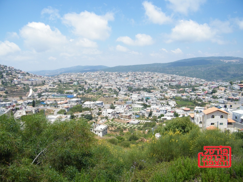 פורטל הכרמל