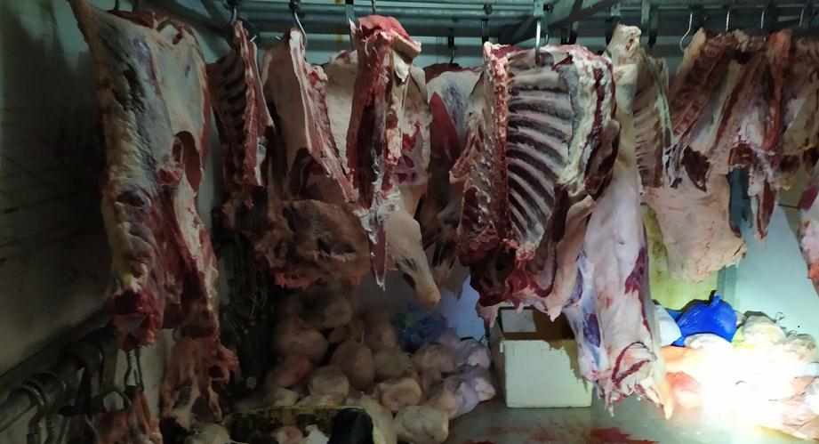 נתפסו מאות ק"ג של בשר שאינו ראוי למאכל 