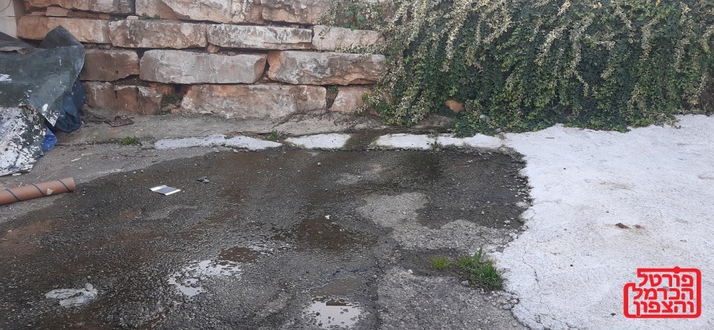 פורטל הכרמל