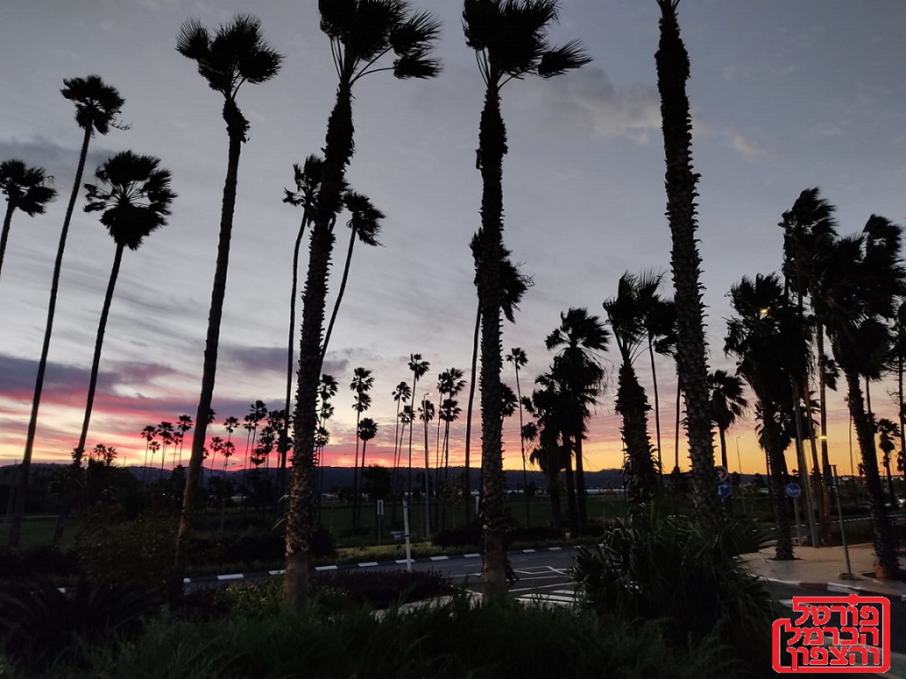 שערים יציגים למטבעות חוץ מיום 23/11/2023