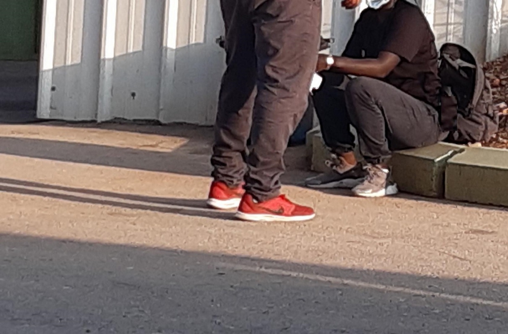 פורטל הכרמל