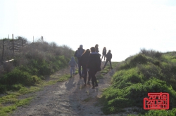 שימו לב עונת הנחשים בעיצומה וההכשות מתגברות