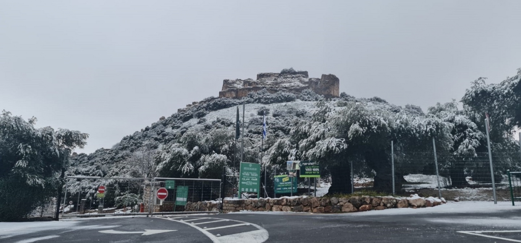 מבצר הנמרוד והפרות בשלג
