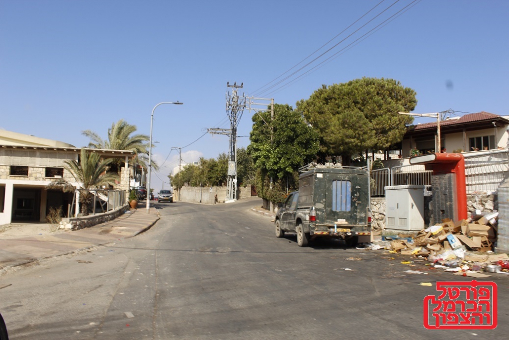 פורטל הכרמל