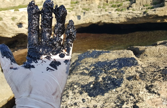 פורטל הכרמל