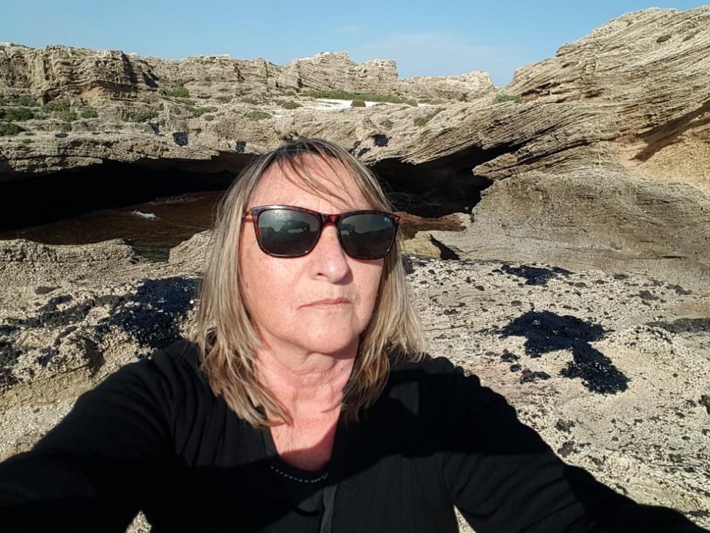 פורטל הכרמל