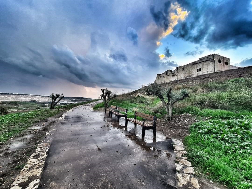 פורטל הכרמל