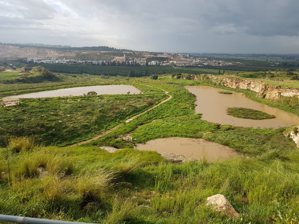 פורטל הכרמל
