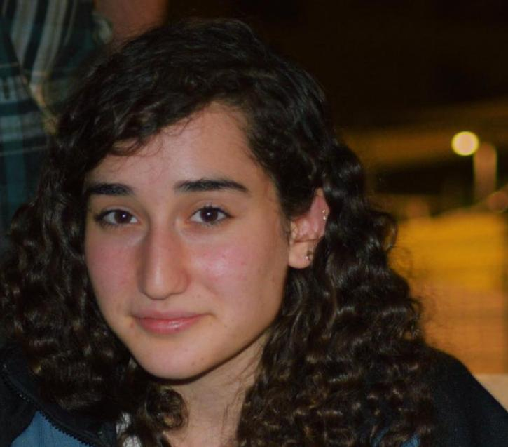 פורטל הכרמל