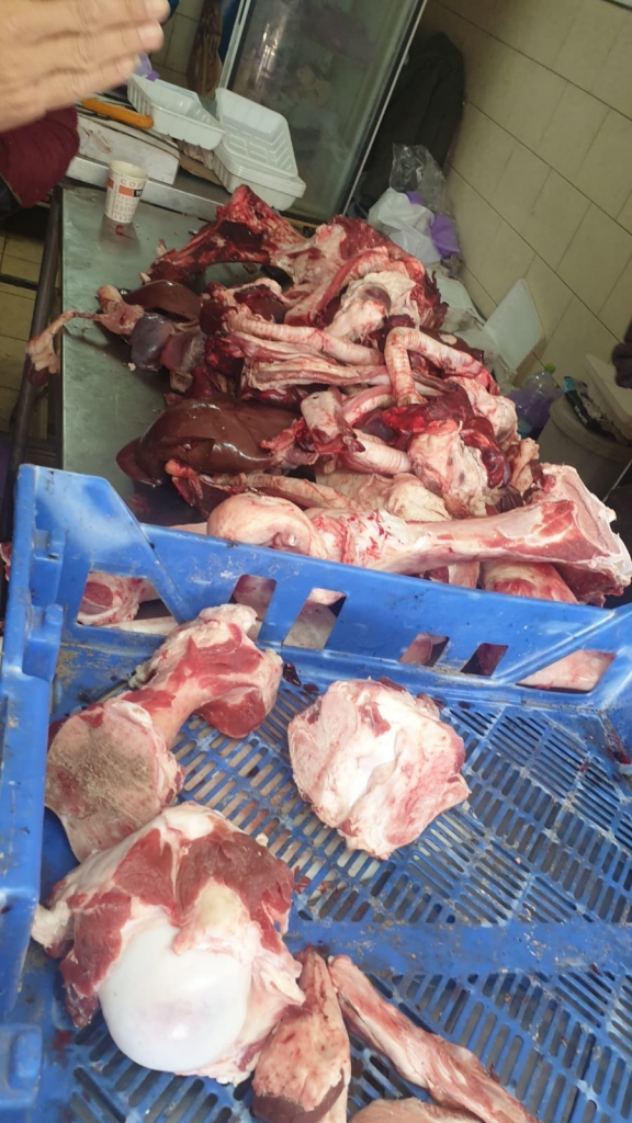 פורטל הכרמל