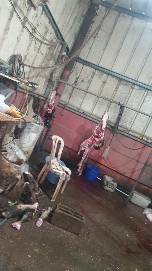 פורטל הכרמל