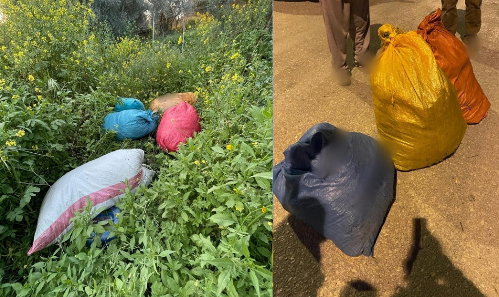 פורטל הכרמל