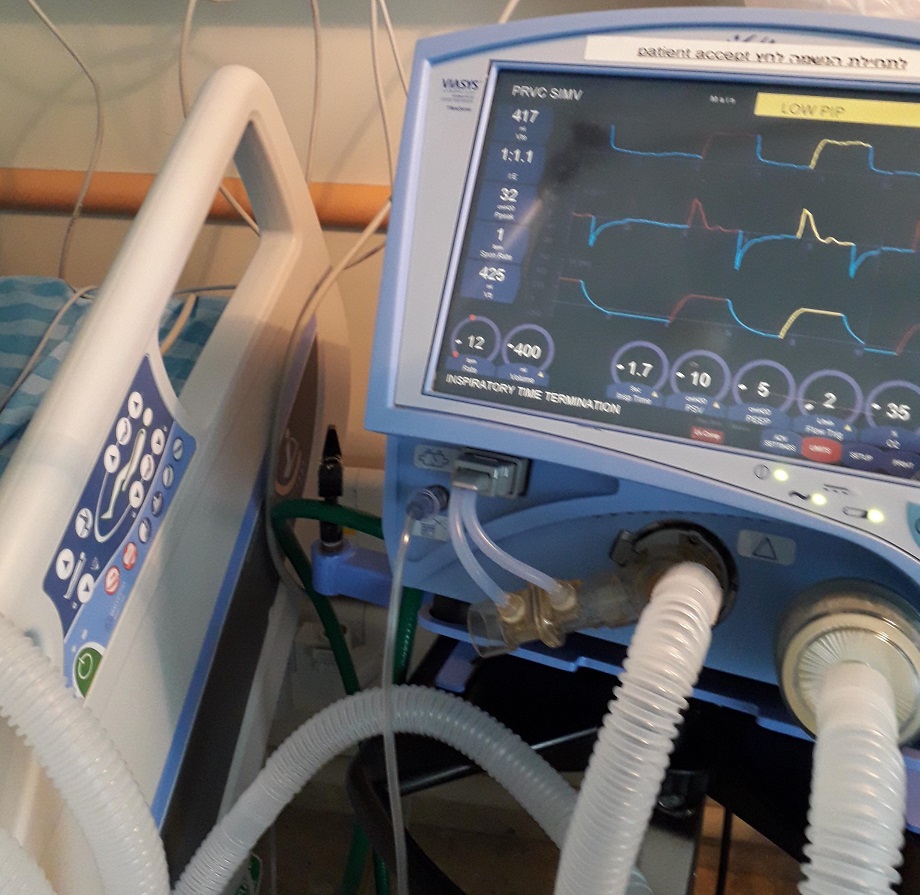 פורטל הכרמל