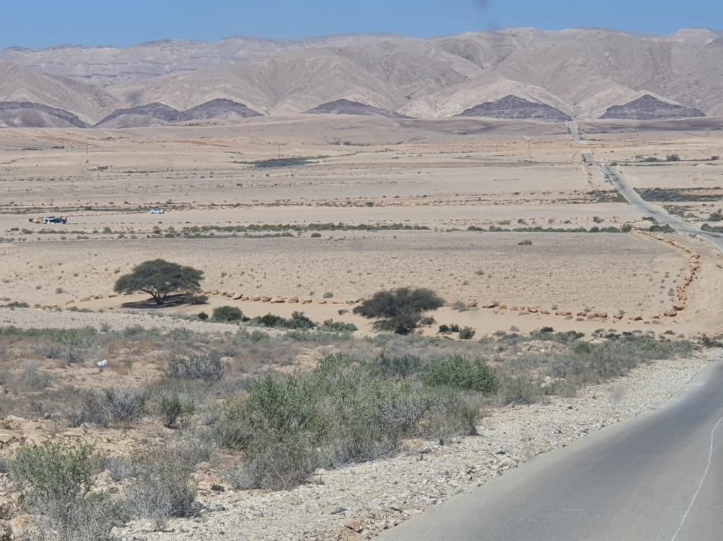 פורטל הכרמל