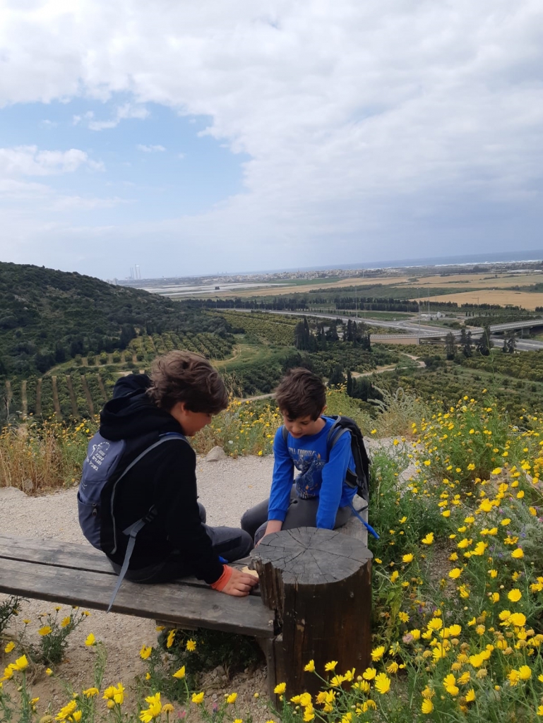 פורטל הכרמל