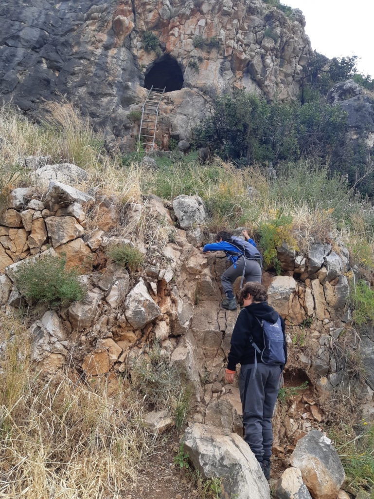 שמורת חוטם הכרמל