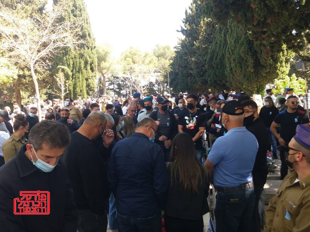 פורטל הכרמל